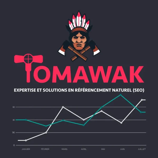 Référencement naturel et expertise SEO avec Tomawak : boostez le référencement naturel de votre site Web vitrine ou e-commerce avec les meilleures stratégies SEO Tomawak